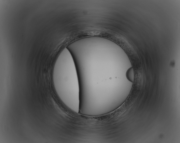 X0000097800598200803140738