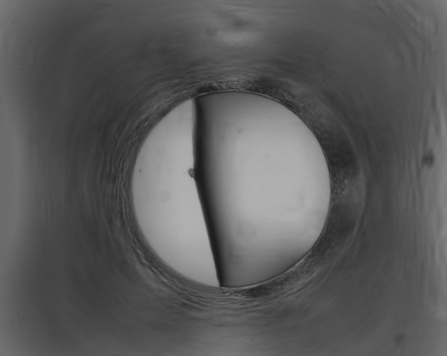X0000097800599200803140738