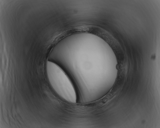 X0000097800600200803140738