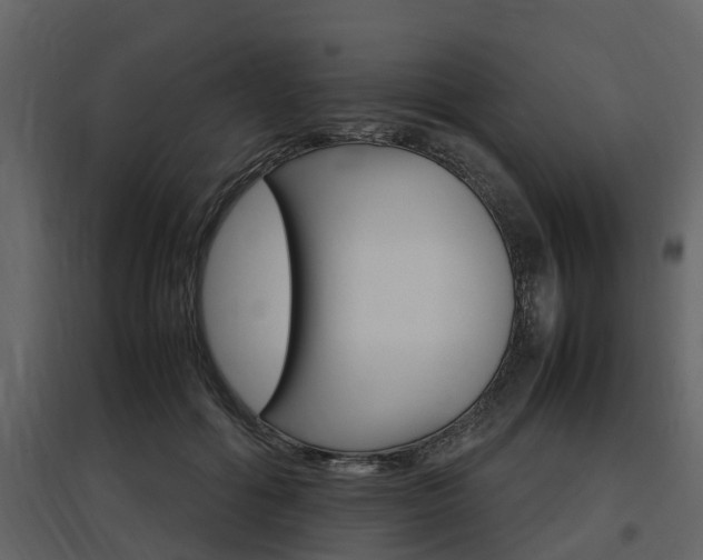 X0000097800602200803140738