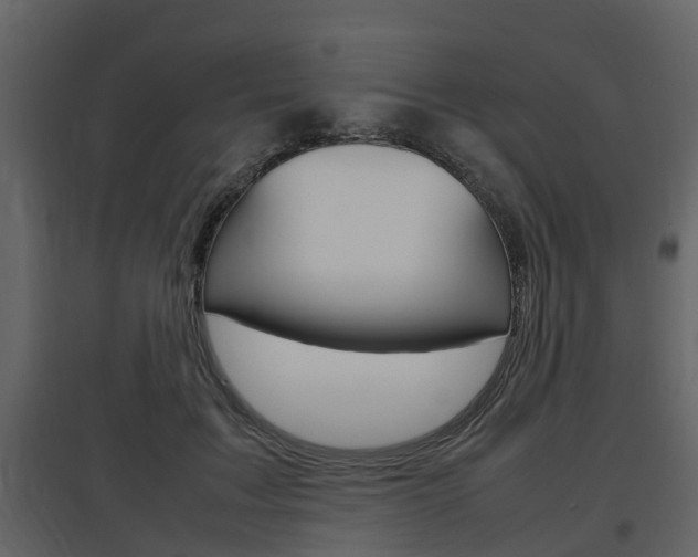 X0000097800603200803140738
