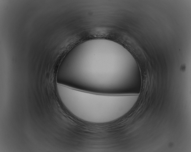 X0000097800604200803140738