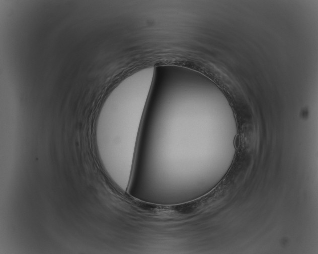 X0000097800605200803140738