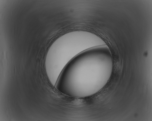 X0000097800609200803140738