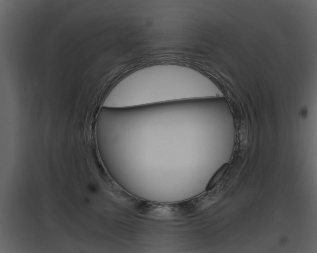 X0000097800611200803140738