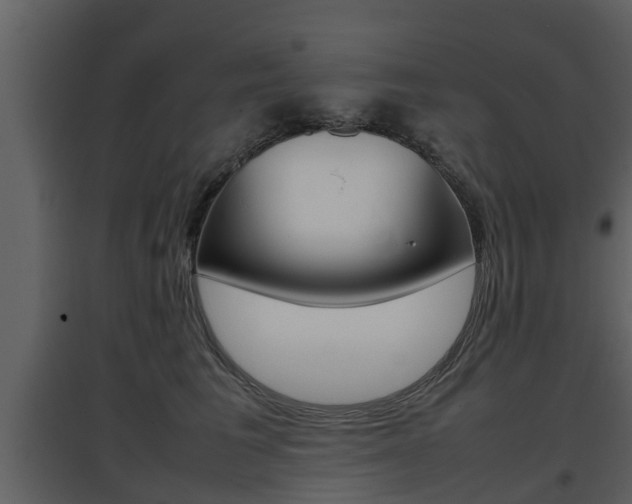 X0000097800613200803140737