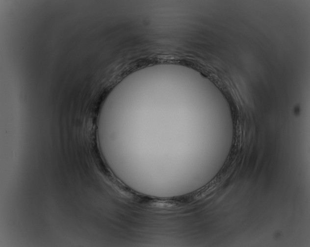 X0000097800614200803140737