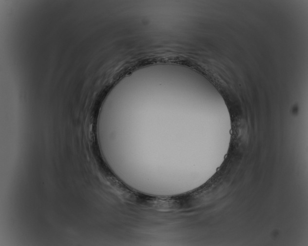 X0000097800615200803140737