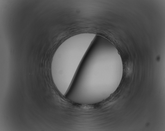 X0000097800619200803140737