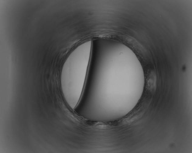 X0000097800620200803140737