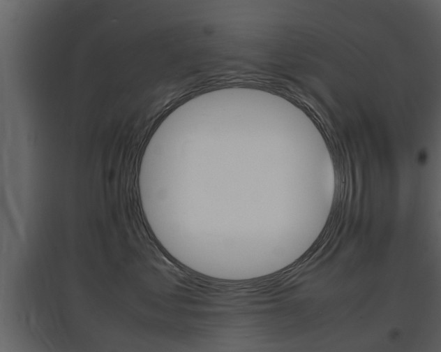 X0000097800621200803140737