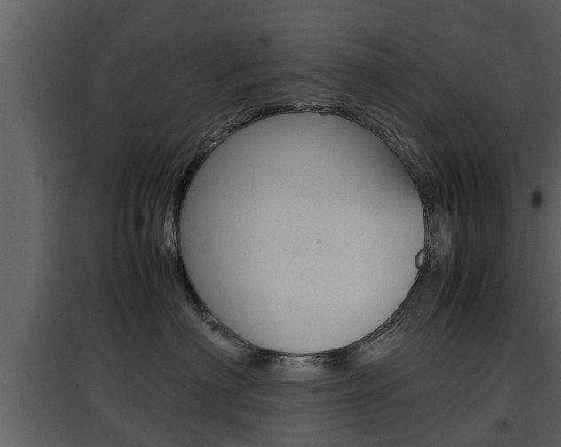 X0000097800622200803140737