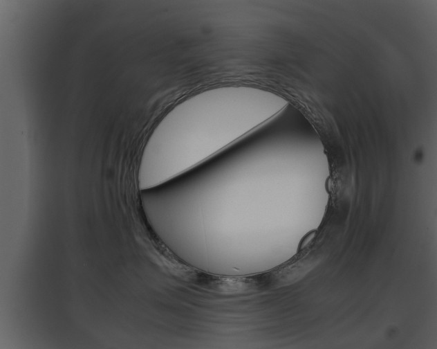 X0000097800623200803140737