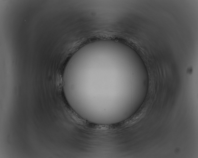 X0000097800624200803140737