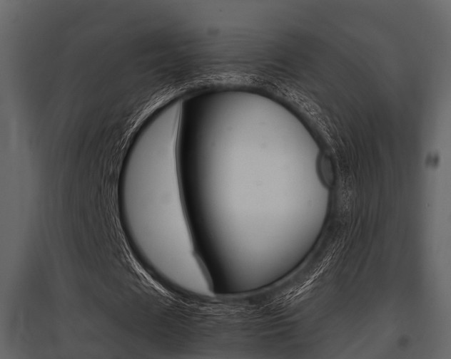 X0000097800625200803140737