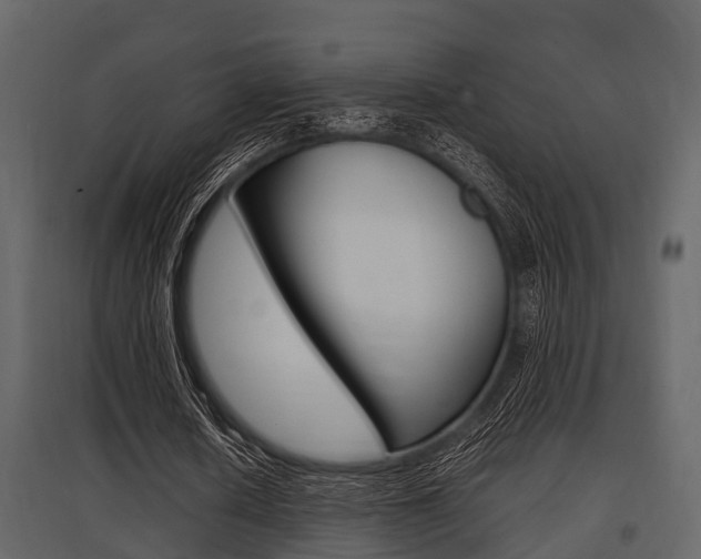 X0000097800626200803140737