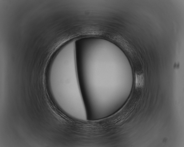 X0000097800627200803140737