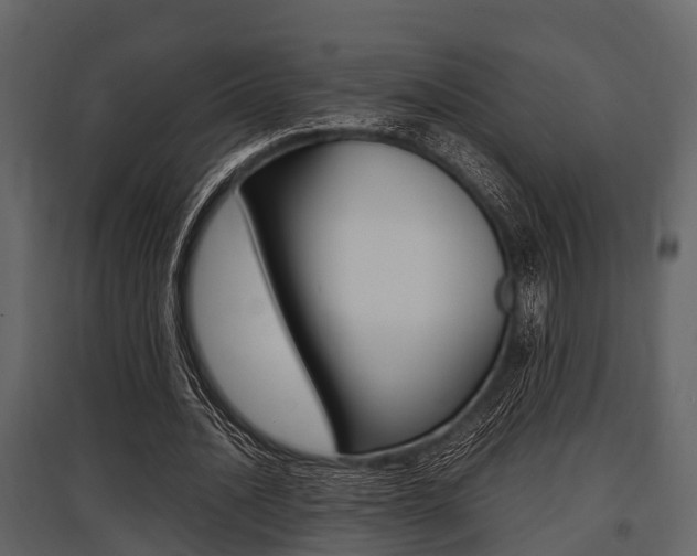 X0000097800628200803140737
