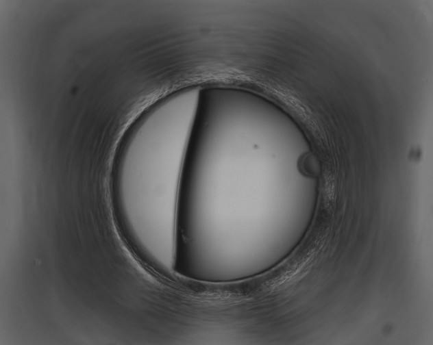 X0000097800630200803140737