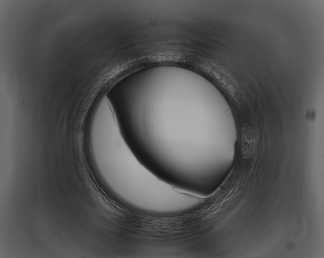 X0000097800631200803140737