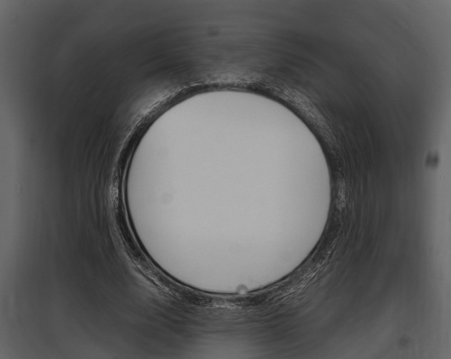 X0000097800632200803140737