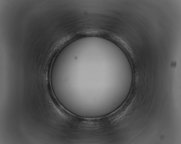 X0000097800633200803140737