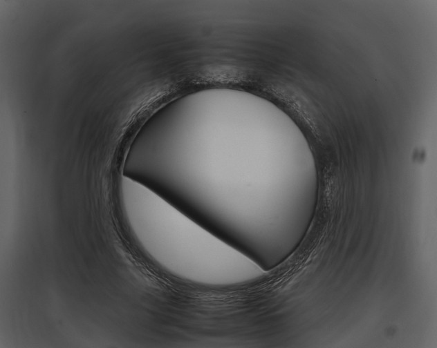 X0000097800635200803140737