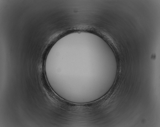 X0000097800636200803140737
