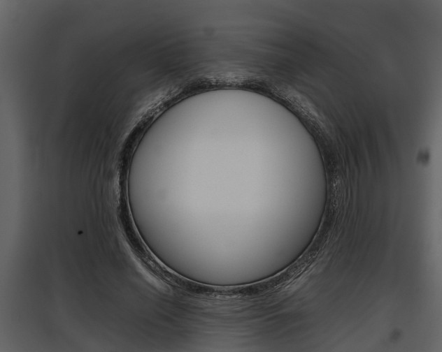 X0000097800638200803140737