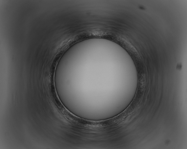 X0000097800639200803140737