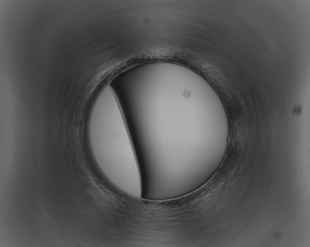 X0000097800640200803140737