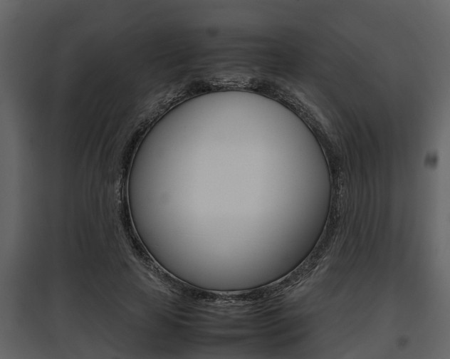 X0000097800641200803140737