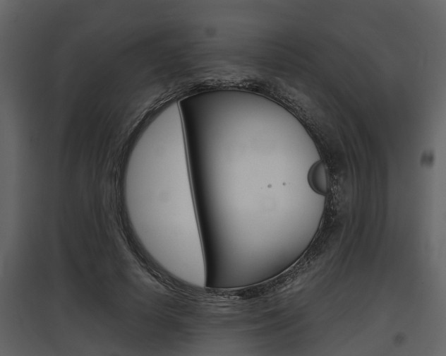X0000097800642200803140737