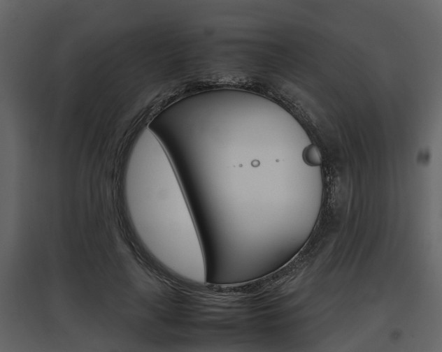 X0000097800643200803140737