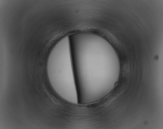 X0000097800644200803140737