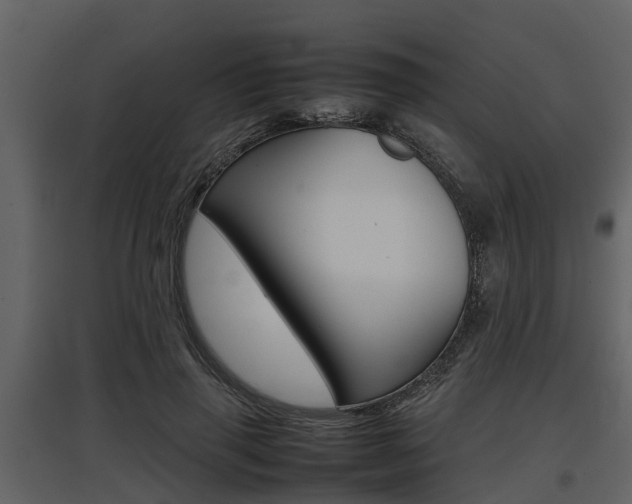 X0000097800645200803140737