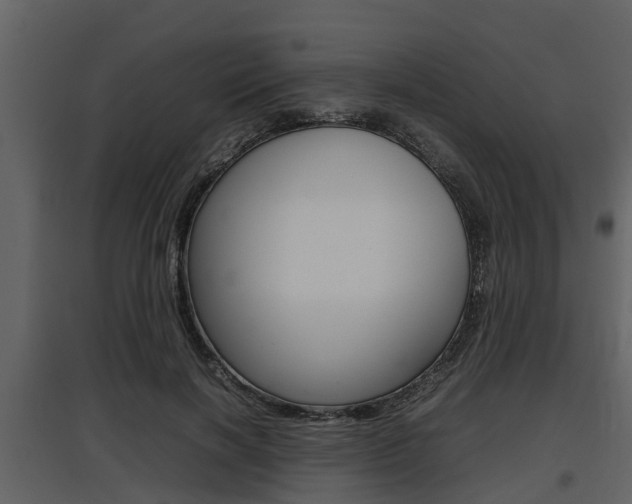 X0000097800646200803140737