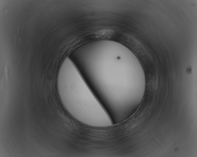 X0000097800649200803140737