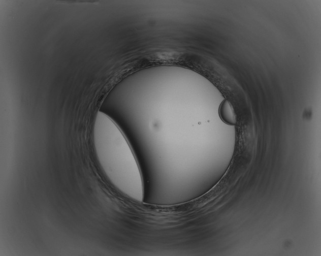 X0000097800651200803140737