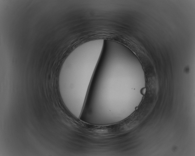 X0000097800653200803140737