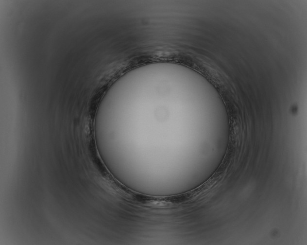 X0000097800654200803140737