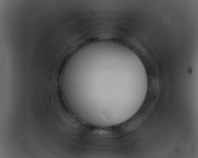 X0000097800655200803140737