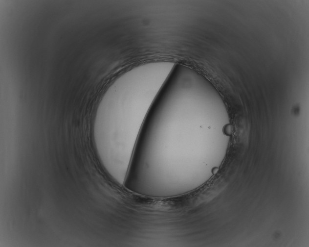 X0000097800656200803140737