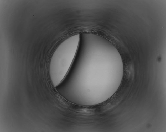 X0000097800657200803140737