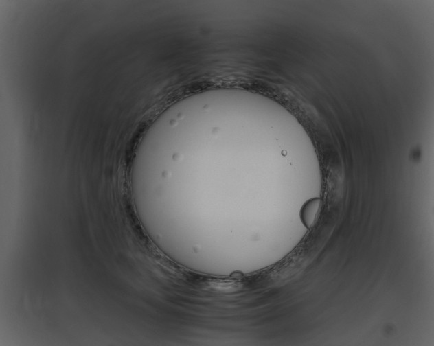 X0000097800659200803140737
