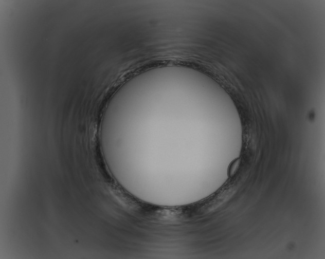 X0000097800660200803140737