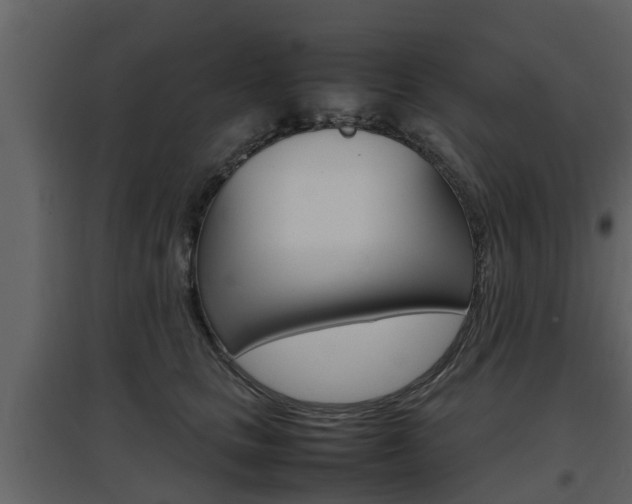 X0000097800661200803140737