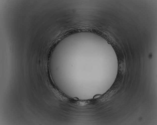 X0000097800662200803140737
