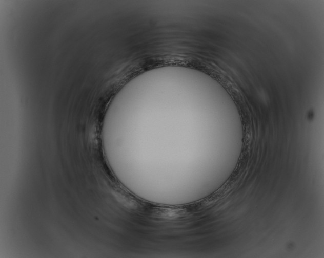 X0000097800663200803140737