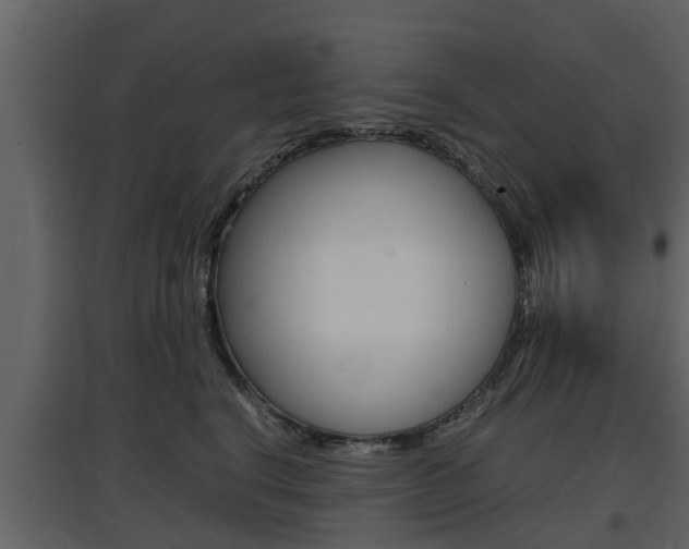 X0000097800664200803140737